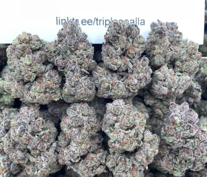 #L23A Electric Kool Aid ⚡️