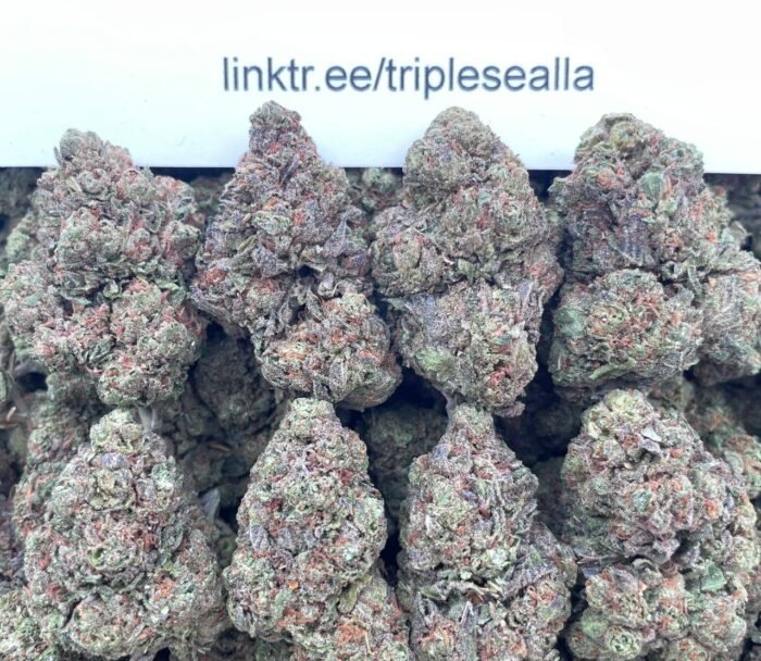 #L3A Bazooka Joe 🚀