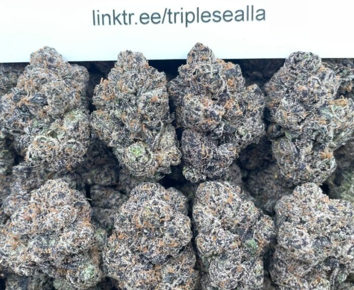 #F23C Original Gobstoppers 🍬