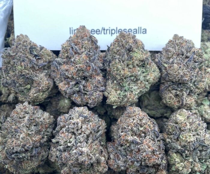 #G30C Arctic Gelato 🥶
