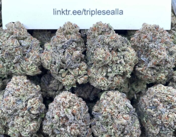 #H25B Vanilla Sundae 🍨