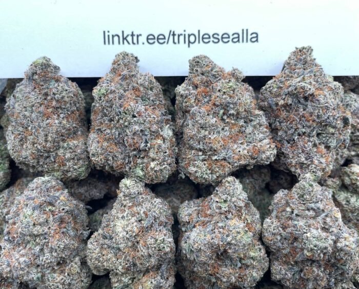 #H13A Ether ☠️