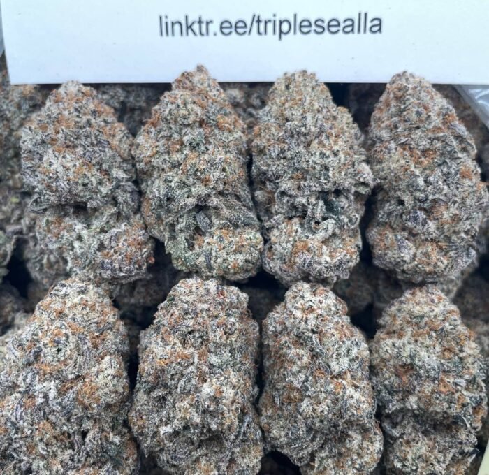#G13A Milk n Cookies 🍪